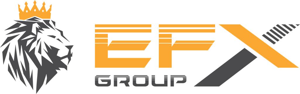 Logo EFX 